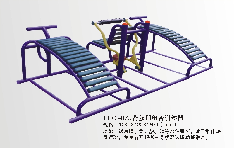 THQ-875背腹肌组合训练器