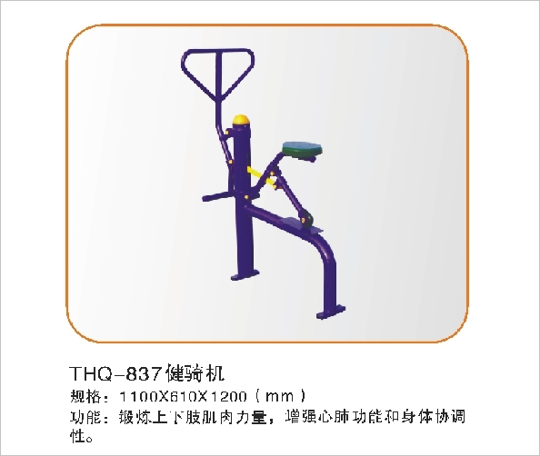 THQ-837健骑机